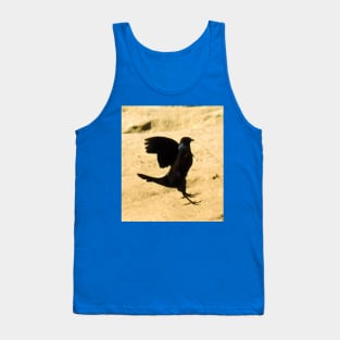 Avian ballet practice Tank Top